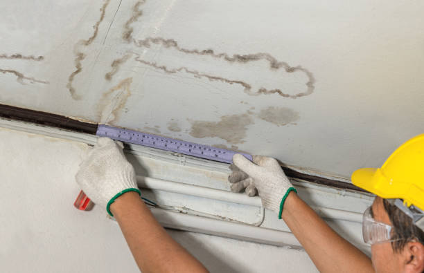 Reliable Structural Drying contractor in Vaughnsville, OH by Water Damage Irwin